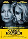 Love Crime (2010).jpg